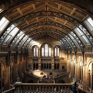 museum museum 300